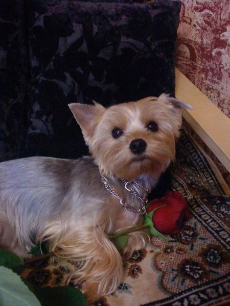 Татьяна Бурцева