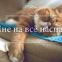 Даниил Богомазов