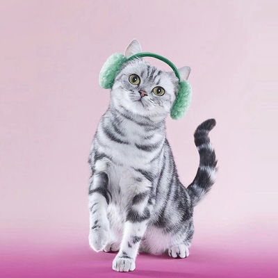 Мария Неёлова