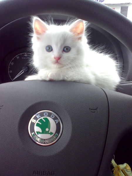 Манченко Наташа