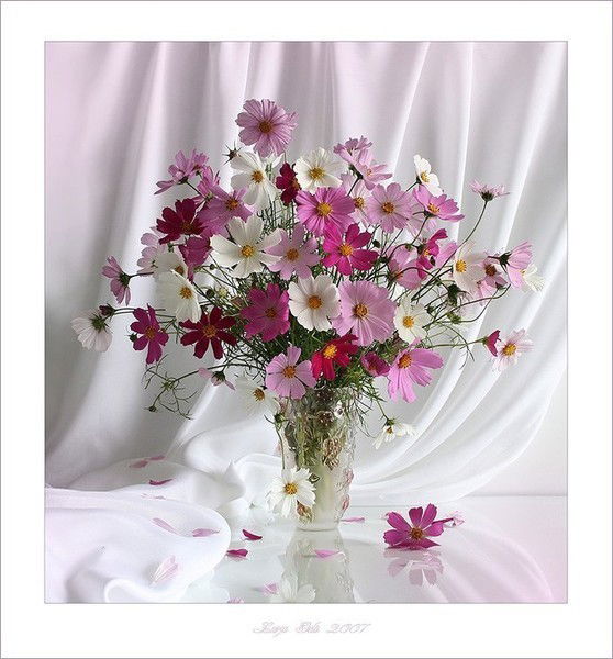 Динара Туленгутова