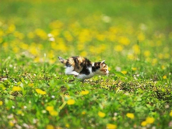 Наталья Шилова