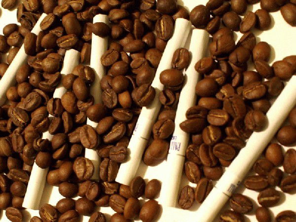 Евгения Григорьева