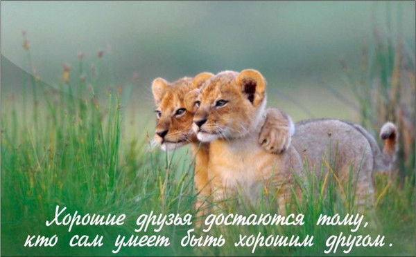 Орал Батыргалиев