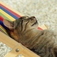 Никита Вторых