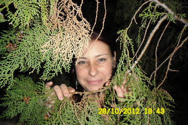 Ирина Цибулька