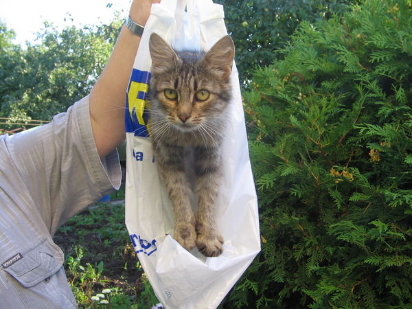 Ольга Гордеева