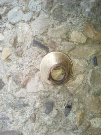 Владимир Малков