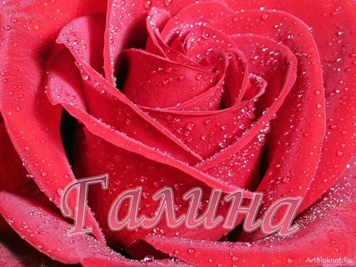 Галина Жигалина