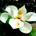 Валентина Гряникова /белоброва/