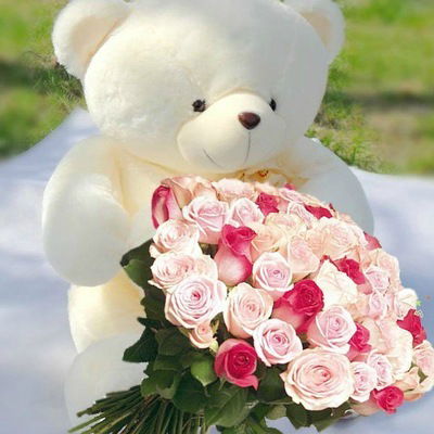 Поля Белова