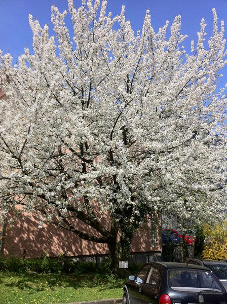 Kraft Trendmode Gmbh