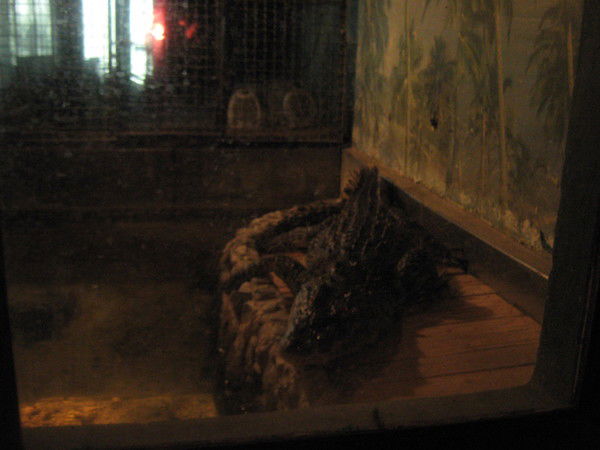 Таня Перевязко