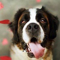 Александра Григорьева