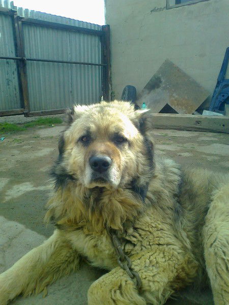 Анастасия Ищенко