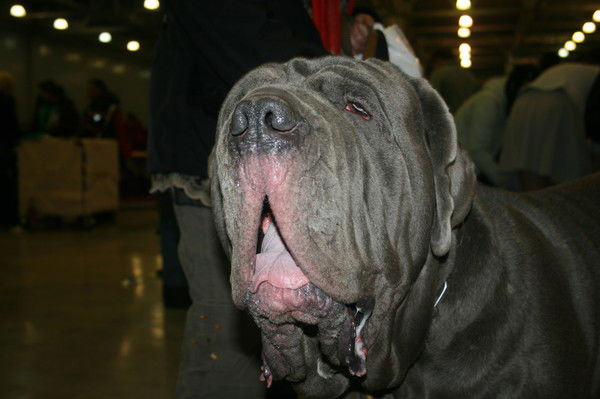 Михаил Дульский