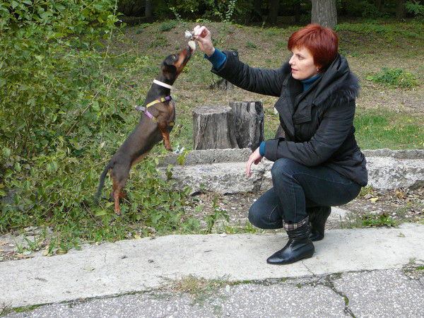 Алла Дементьева