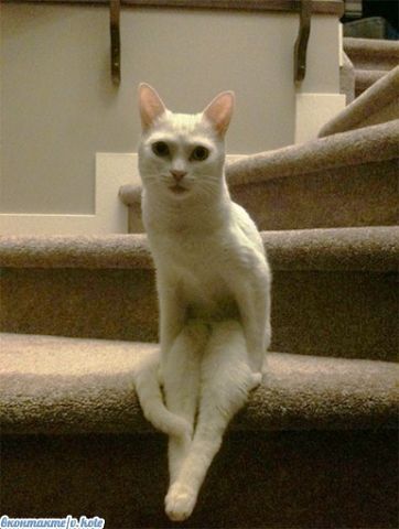 Ольга Фалилеева