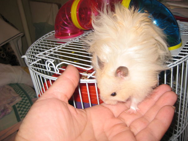 Эльвира Сахипова