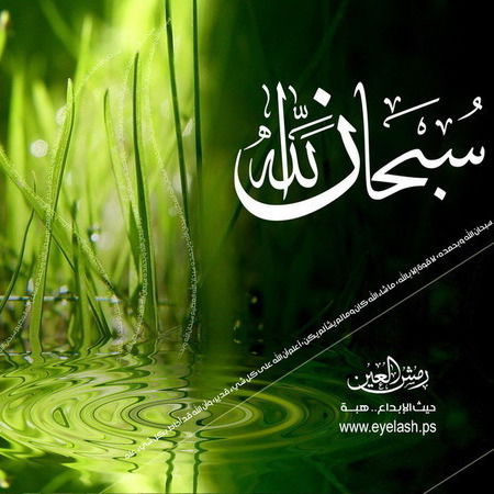 Рустам Яфасов ***$$$