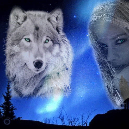 Одинокая Волчица