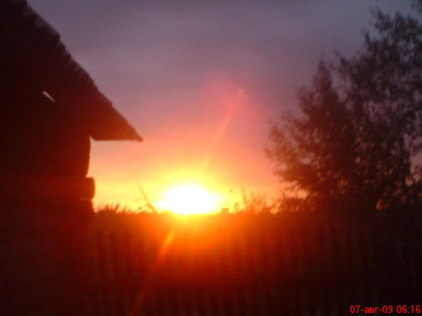 Светлана Клементьева