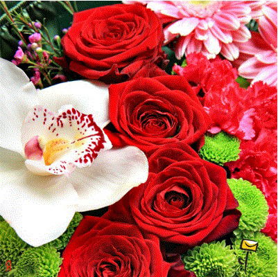 Ольга Ефимова