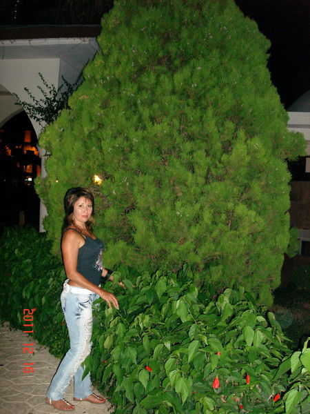 Руфия Писарева