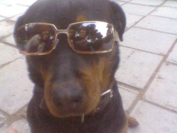 Алеша Алешин