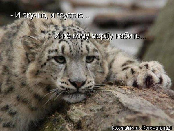 Евгений Ковалев