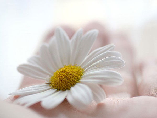 Татьяна Новикова