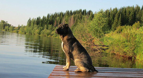 Игорь Чурин