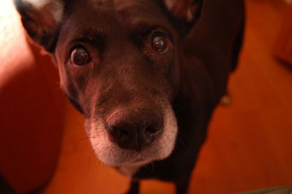 Наверно Просто Я