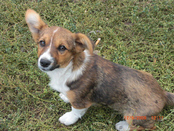 Завражнов Олег