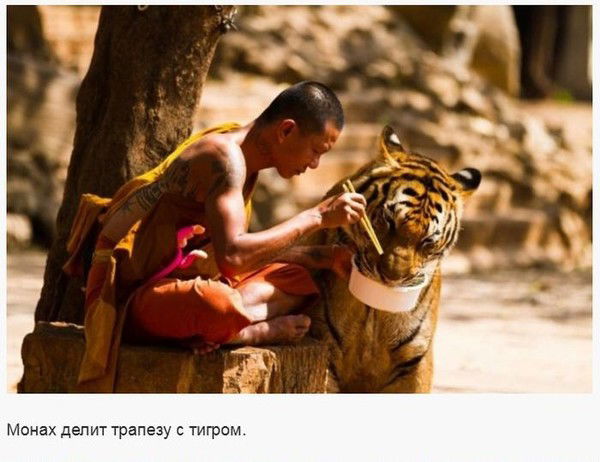 Юрий Шпилька