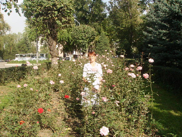 Галина Шахматова