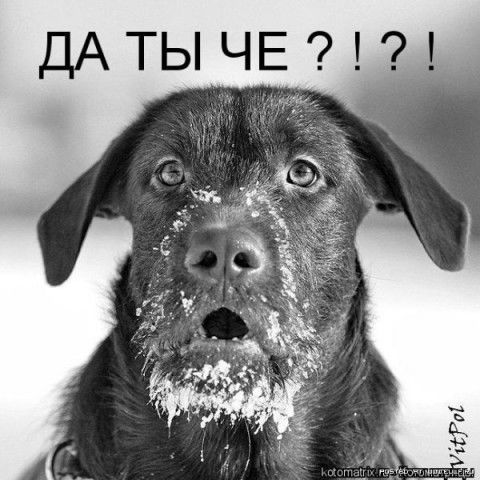 Юрий Терзян