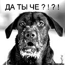 Юрий Терзян