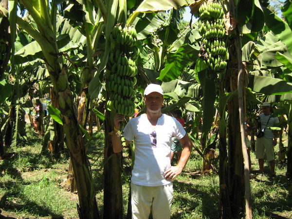 Анатолий Жульков