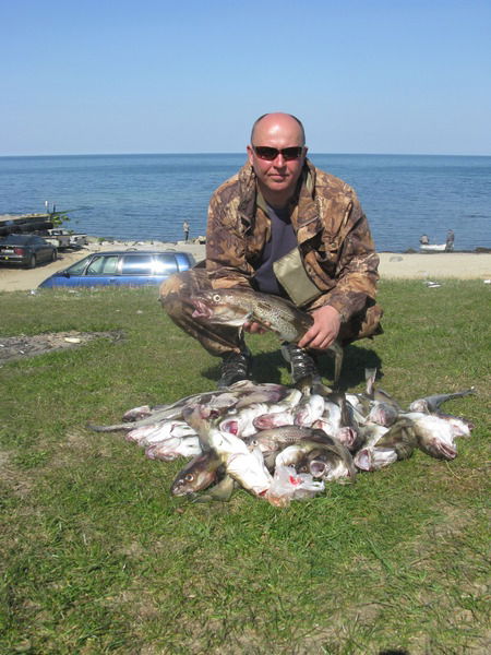 Алексей Нестеров