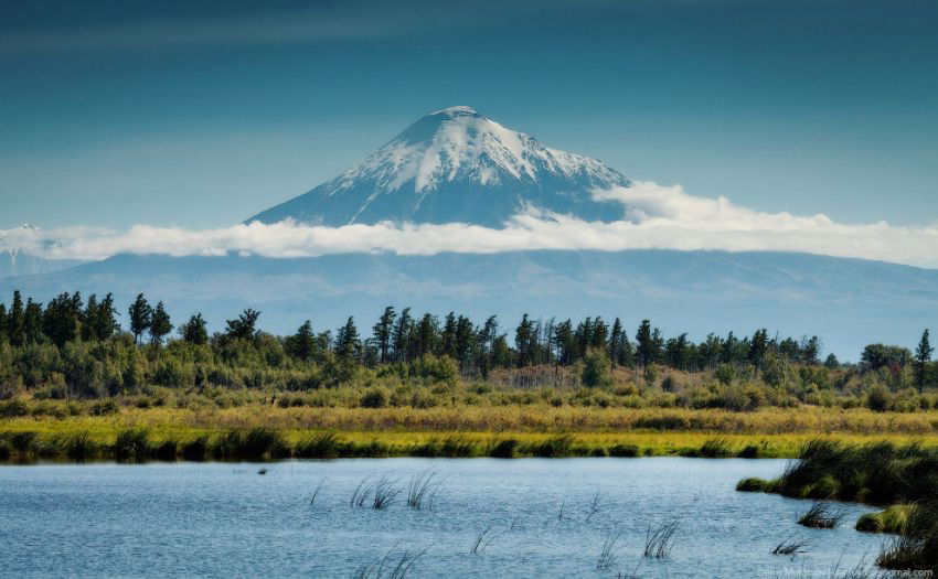 Лариса Капустина