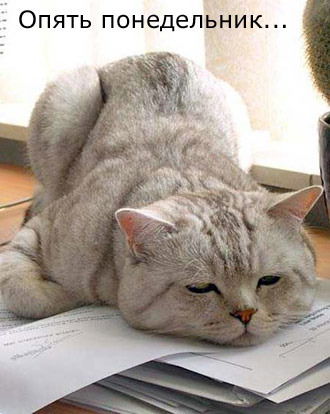 Елена Круглова