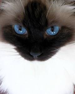 •татьяна •