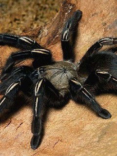 Александр Николаевич