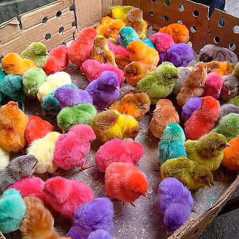 Ильмира Баянова