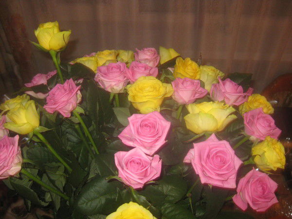 Наталья Шагакова