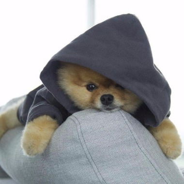 Отдел Кадров Дорстройсервис