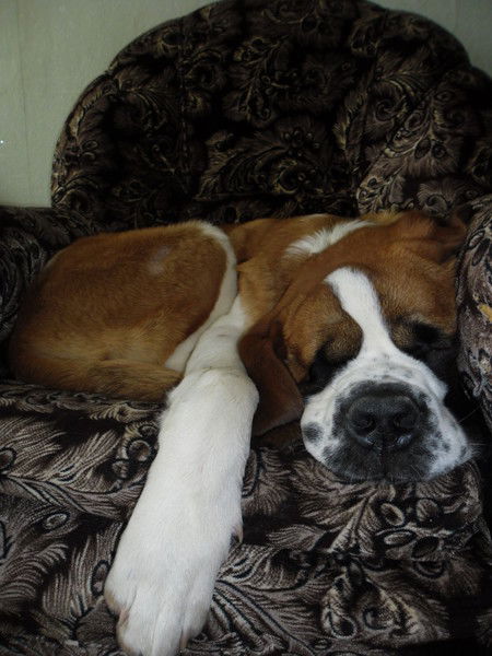 Сергей Базунов