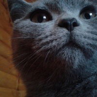 Дина Суюндукова