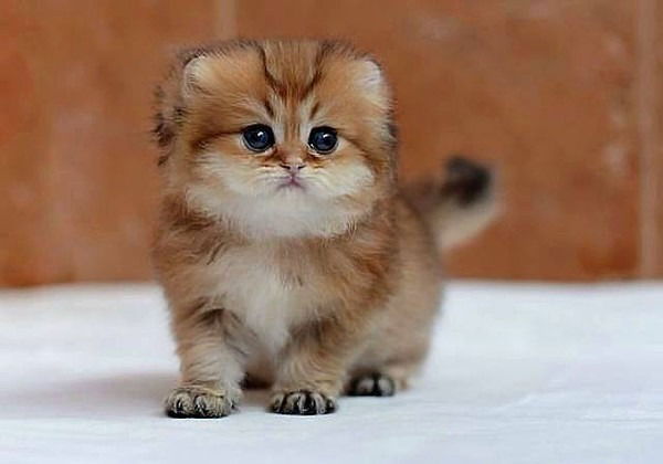 ................ @@@@@